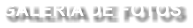 GALERIA DE FOTOS