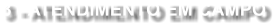 3 - ATENDIMENTO EM CAMPO